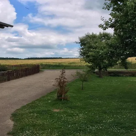 In Reinhardswald Bei Sababurg, Cleaning Included