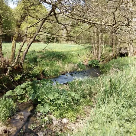 In Reinhardswald Bei Sababurg, Cleaning Included